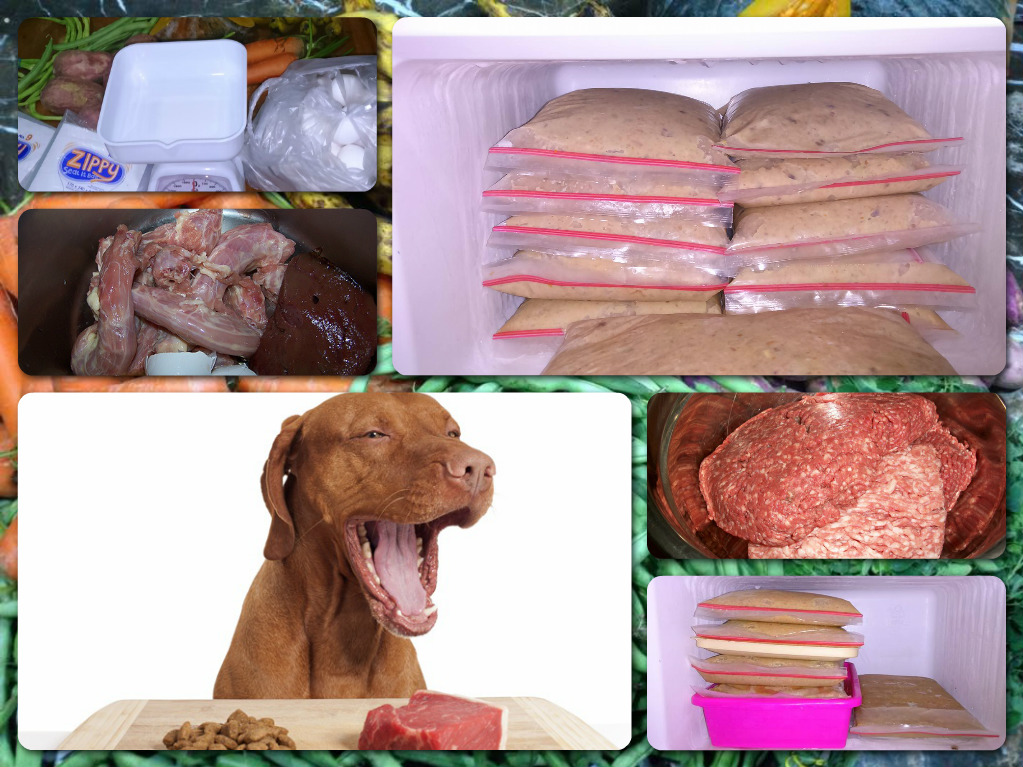 Dog Food Raw Meat Healthy Diets Contact us here!!