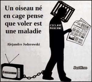 impot la separazione senza risarcimento impot la separazione senza risarcimento
