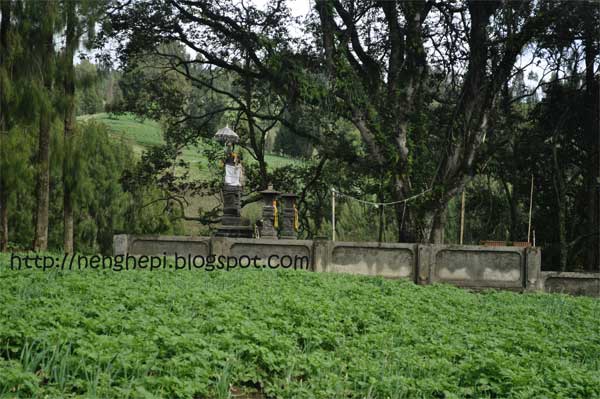 Menelusur Pesona Probolinggo dan Lumajang