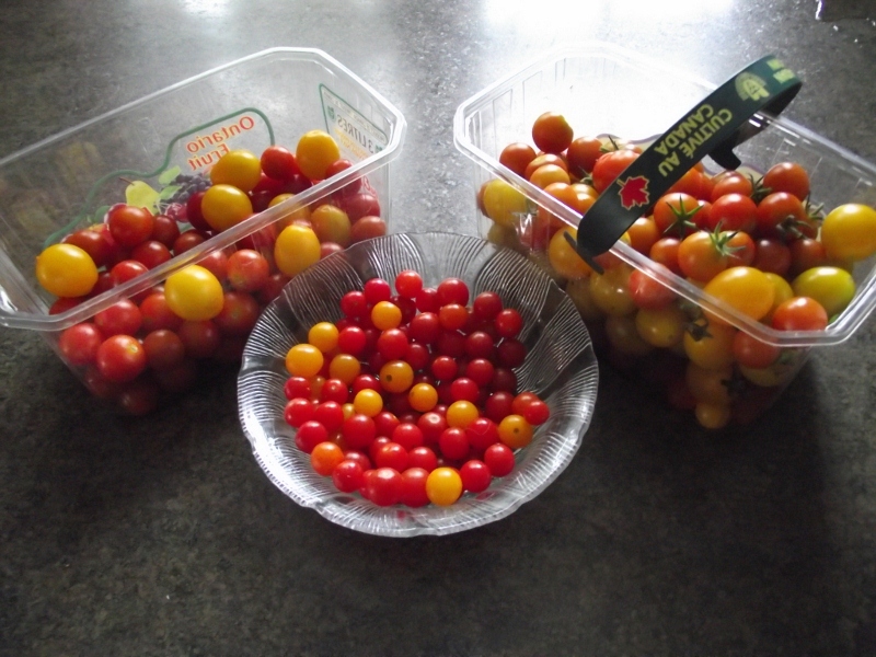 Netty's Country Life Bitter Tomatoes?