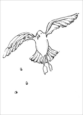 drawing of a seagull catching food tossed in the air 
