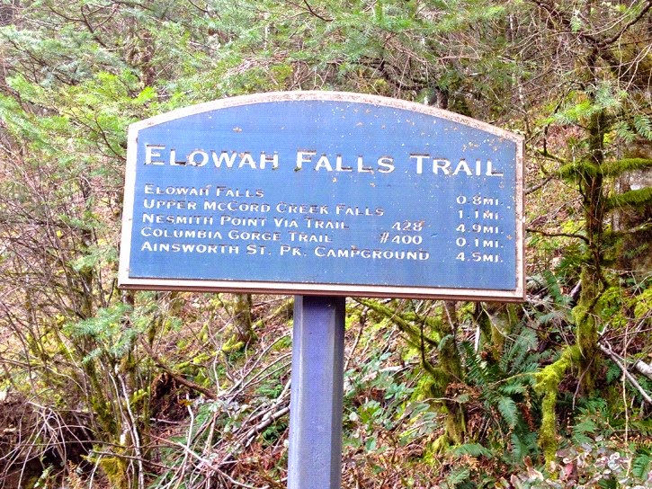 Detail Board of Stunning Elowah Falls, Columbia River Gorge, Oregon, USA Detail Board of Stunning Elowah Falls, Columbia River Gorge, Oregon, USA