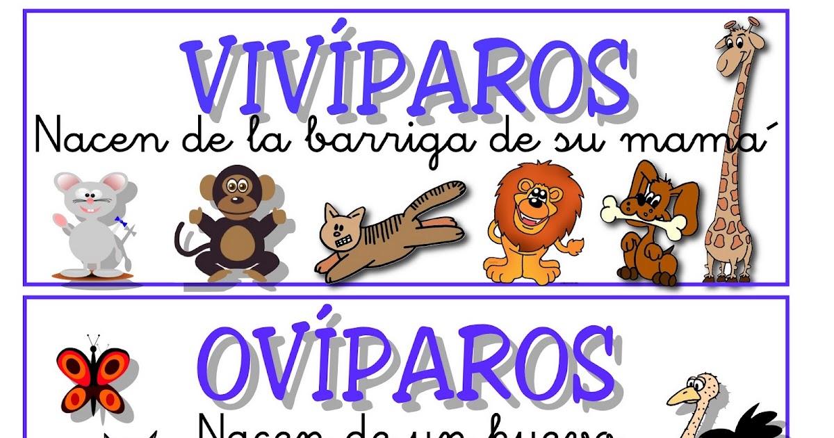 La Clase de Pablo 2ºA ¿OVÍPARO