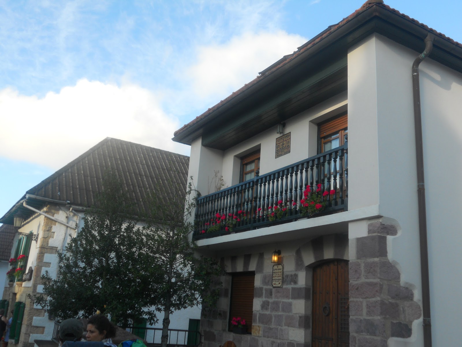 Historia y Genealogía Burguete. Navarra