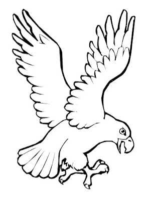 Sketsa Gambar Burung Hantu,Merak,Garuda,Elang Sketsa Gambar Burung Hantu,Merak,Garuda,Elang
