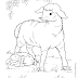 Kids Page: Sheep - Farm Animals To Print And Color 008 for Kids ...