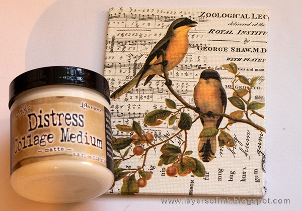 Layers of ink - Flowers and Birds Canvas Tutorial by Anna-Karin Evaldsson