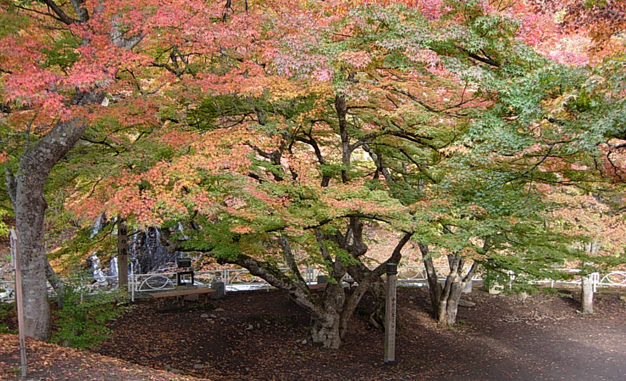 Aomori Aomori