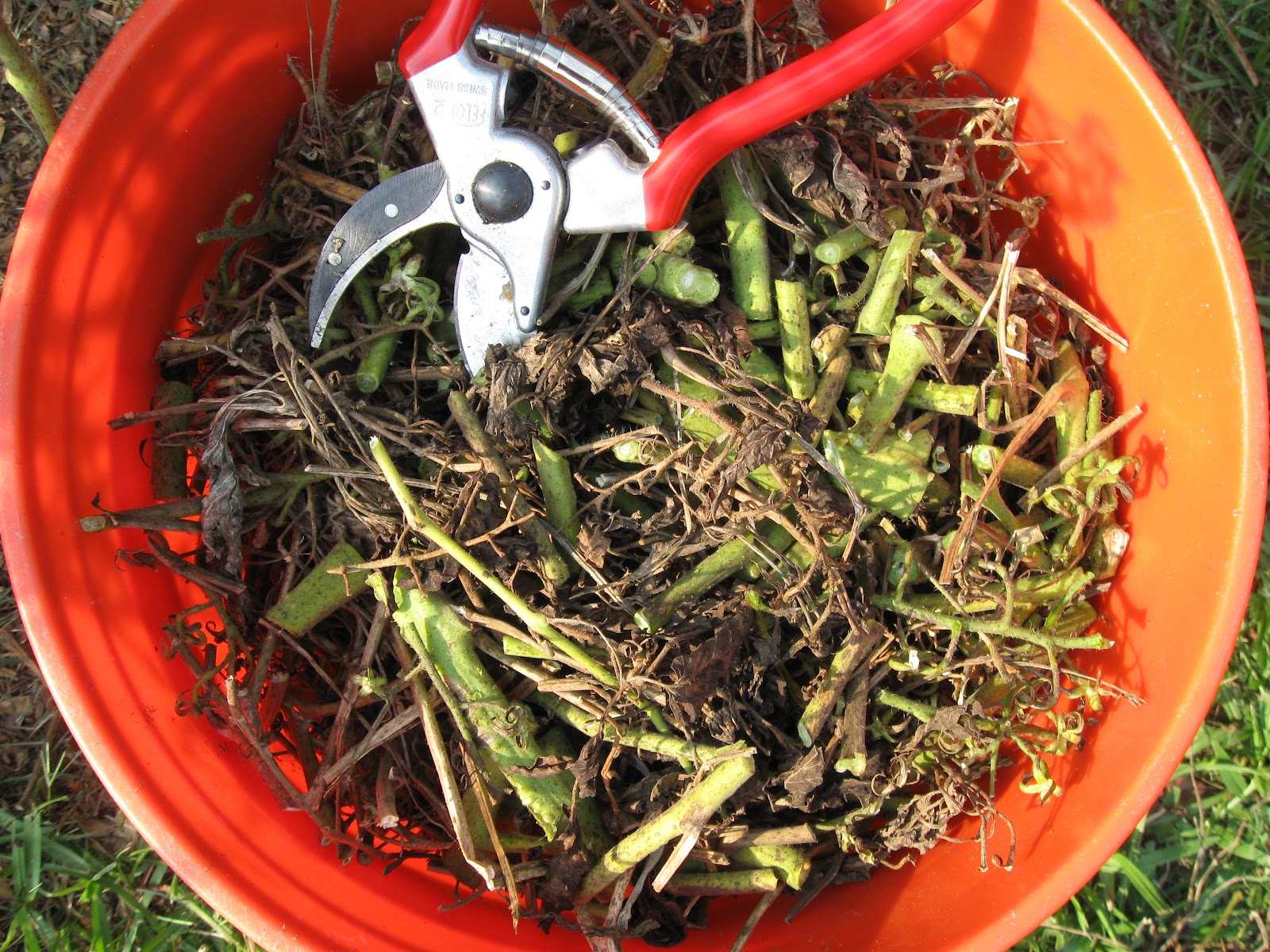 Growing Food In Florida Shredding Garden Waste For Compost Wood 