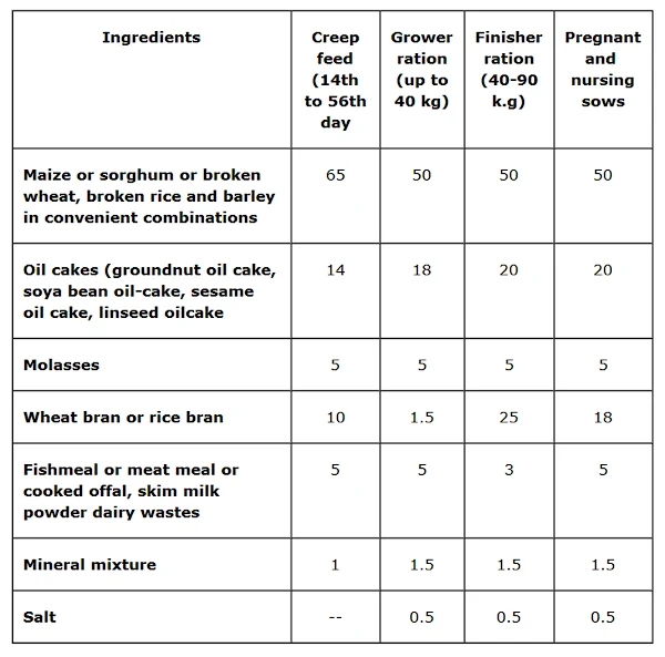 pig feed, feeding pigs, how to feed pig, what to feed pigs, pig feeding