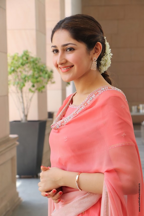 Sayyeshaa Saigal at Kadaikutty Singam Success Meet