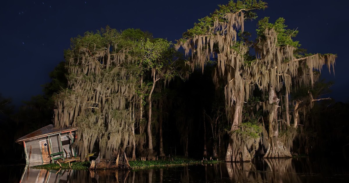 Bayous and Swamps of Louisiana Sorrel Leaning Houseboat with Moss