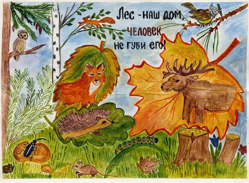 Сохрани природу для детей картинки Сохрани природу для детей картинки