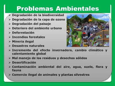 principales problemas ecologicos
