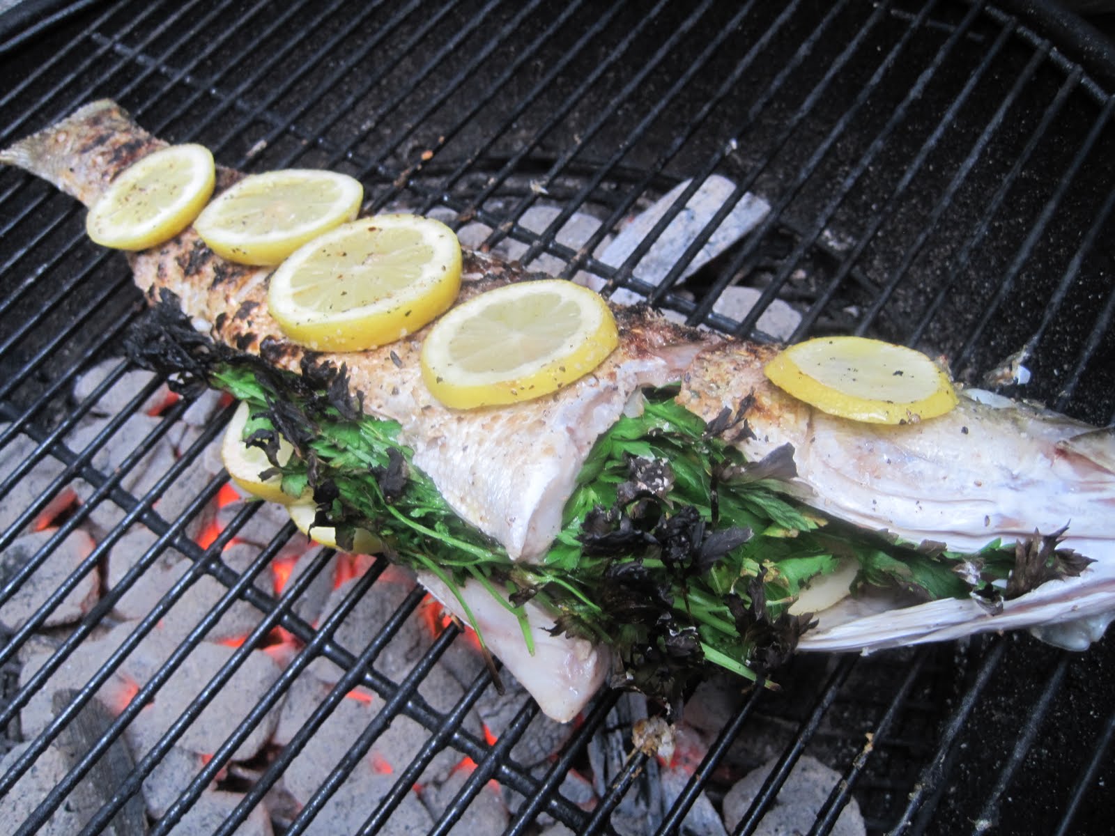 corcoran-street-kitchen-whole-grilled-rockfish