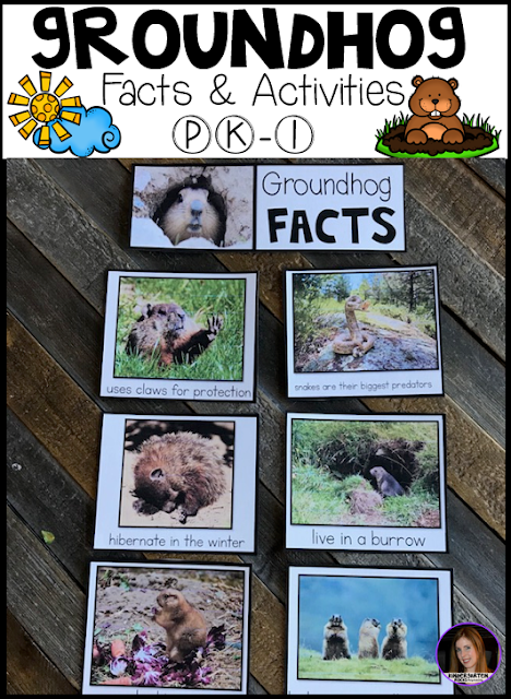 Are you looking for a factual unit to introduce Groundhog’s Day and to learn more about Groundhog activities for Kindergarten and first grade classroom? Then you will love this unit! Groundhog Facts Label