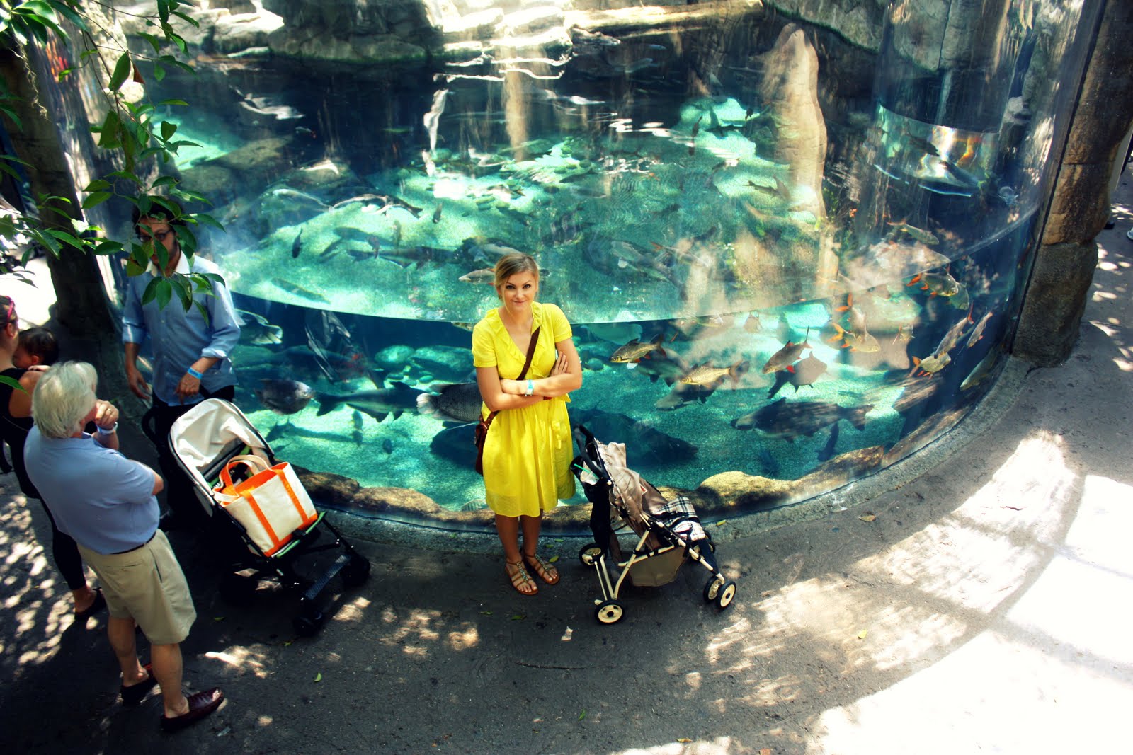 Chelsea Blue Blog Denver Aquarium