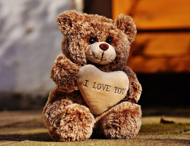 cute teddy bear images