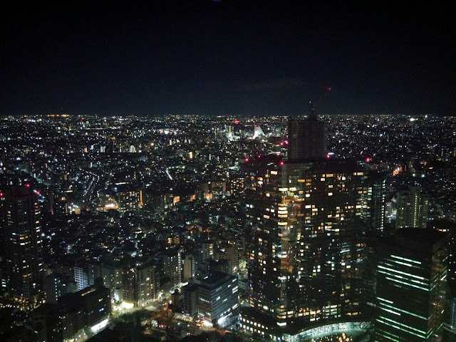 Vistas desde la torre del Ayuntamiento Tokyo iluminada vista desde la torre del Ayuntamiento