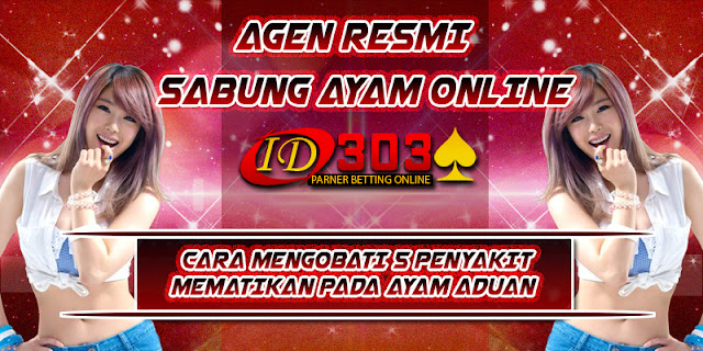 CARA MENGOBATI 5 PENYAKIT MEMATIKAN PADA AYAM ADUAN CARA MENGOBATI 5 PENYAKIT MEMATIKAN PADA AYAM ADUAN