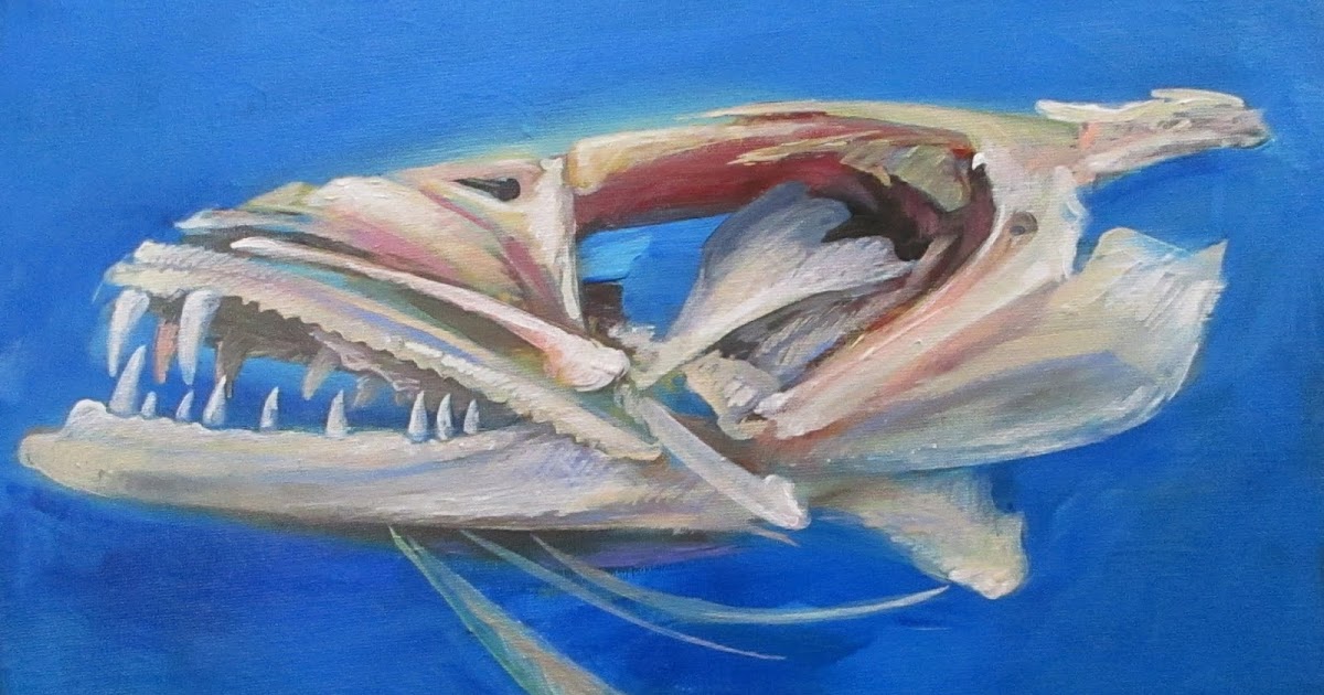 One Painting a Day: Barracuda Skull