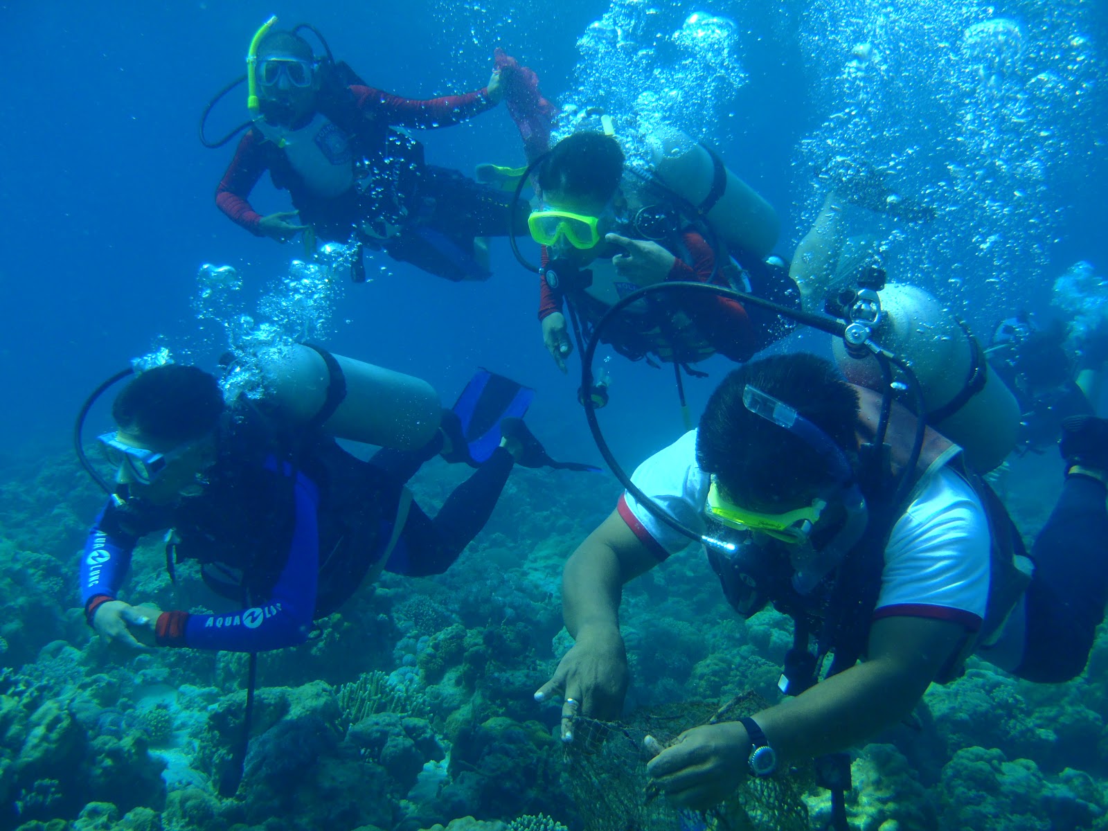Айя Напа дайвинг центр Olympian Divers