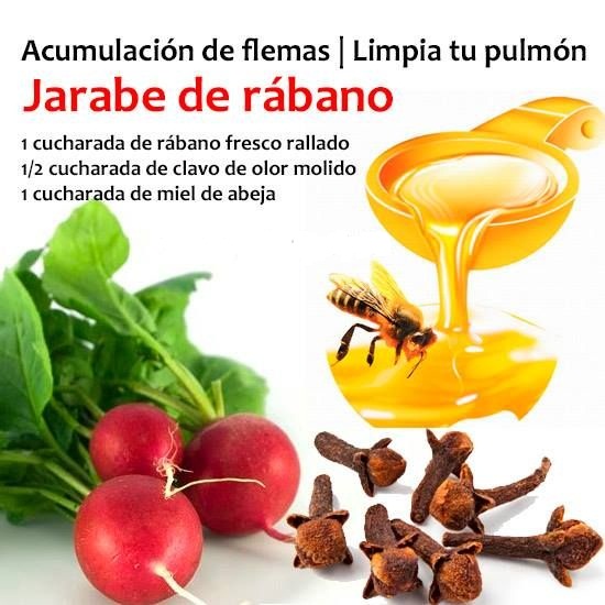 medicina natural para limpiar y fortalecer los pulmones medicina natural para limpiar y fortalecer los pulmones