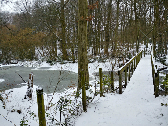 Photograph of Gobions Wood and Gobions Pond taken in the snow on March 1, 2018. Image by David Brewer and released under Creative Commons BY-NC-SA 4.0.