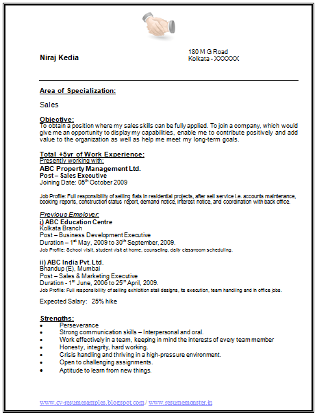 marketing executive resume format