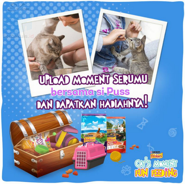 Cat’s Moment - Fun Feeding Cat’s Moment - Fun Feeding