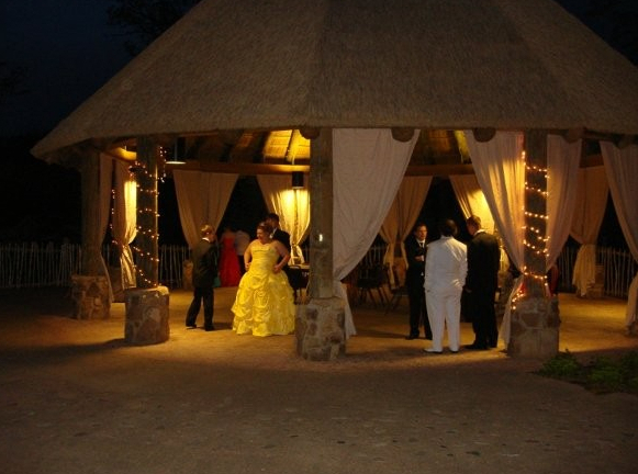 Peoria Il Zoo Wedding Venues Peoria Il Zoo Wedding Venues