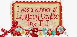 I was a winner for Ladybug Crafts Ink Anything Goes Challenge