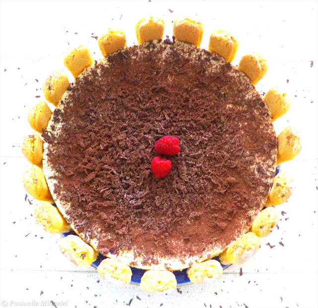 Tort Tiramisu / Tiramisu Cake