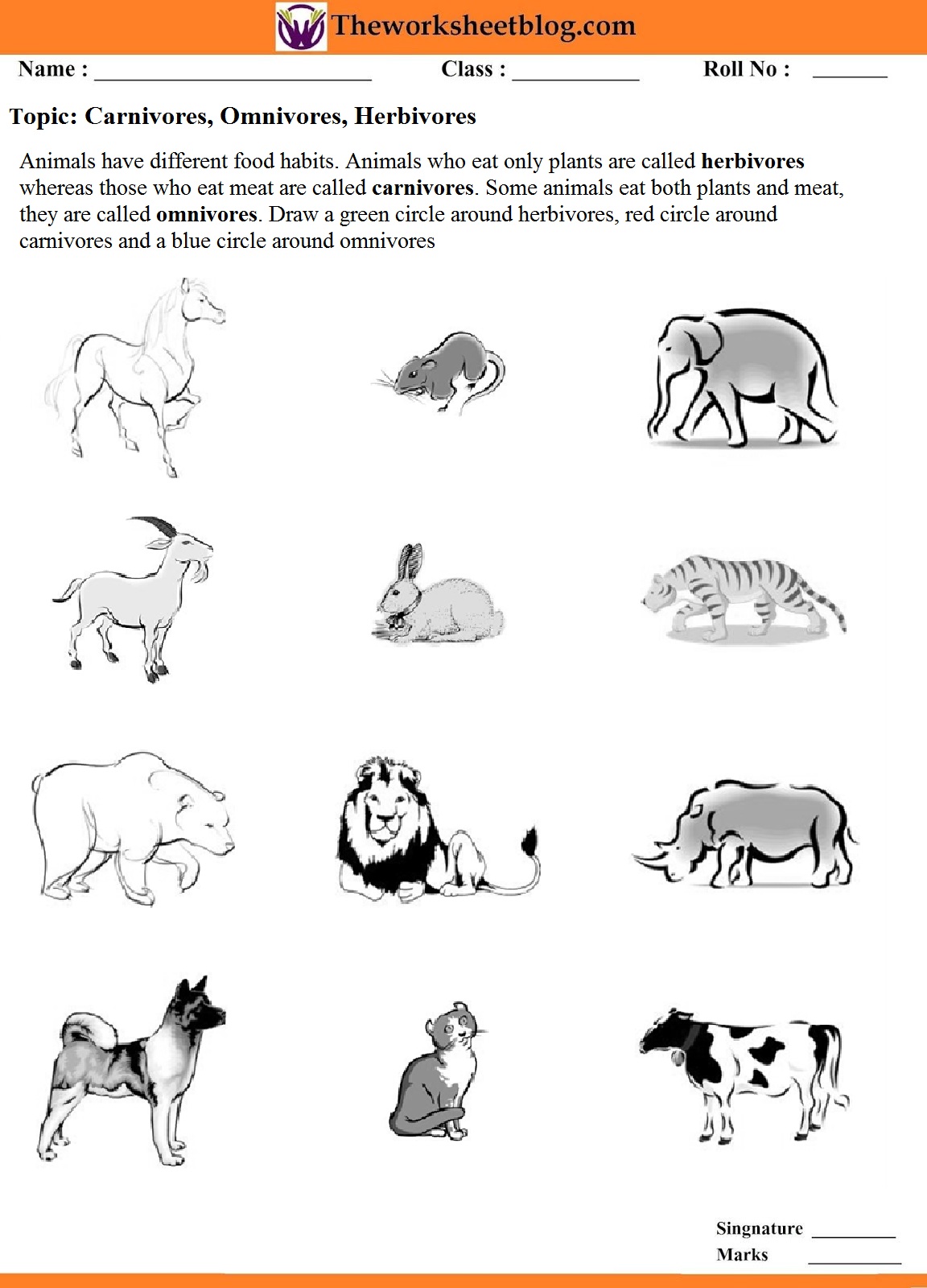 Animal Around Us Worksheet