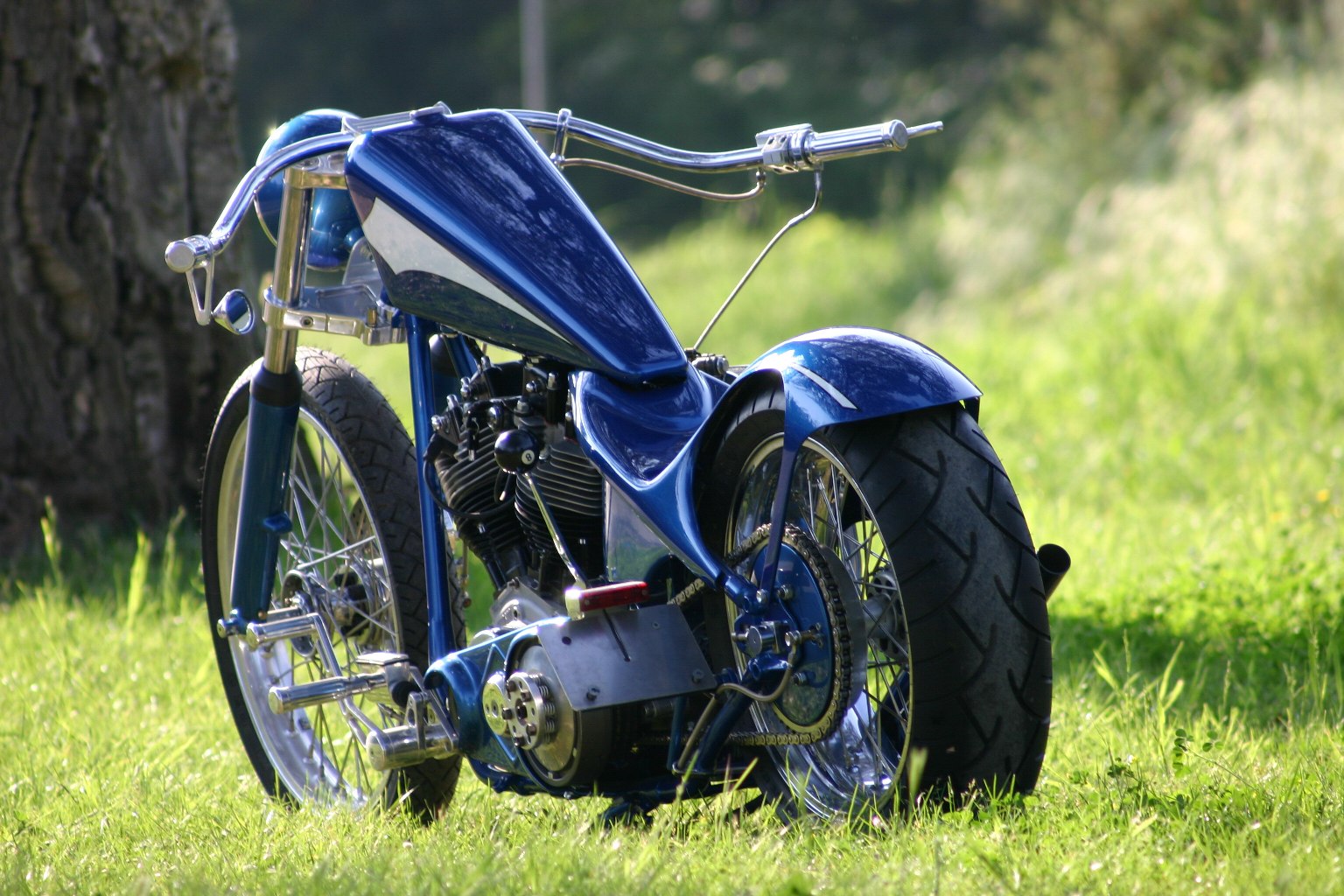 Harley Davidson Blue Edition