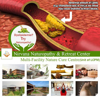naturopathy centre in Pune