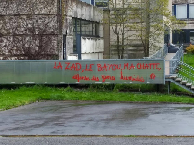 partouzad ~ la zad, le bayou, ma chatte
