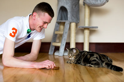 Cats Protection Belfast Adoption Centre Macavity Cats Protection Belfast Adoption Centre Macavity
