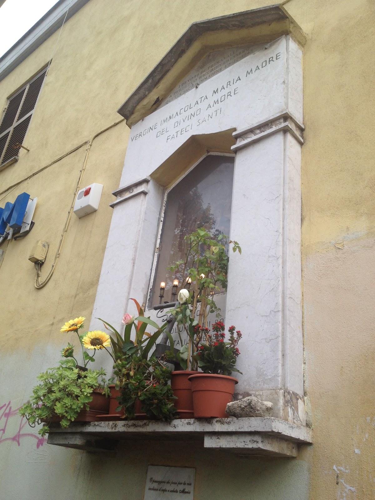 via federico borromeo 67 roma