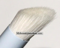 Beautyblender Detailers Chisel Brush makeup review, usage and photos