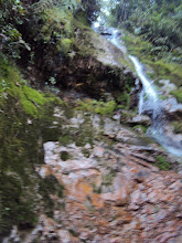 Cascada Los Palmares
