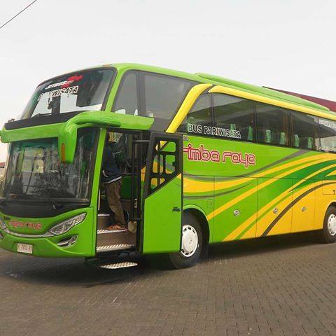 PO. RIMBA RAYA | Ken Jaya