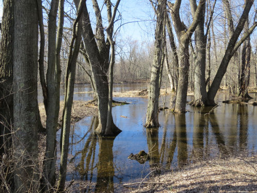 Pere Marquette River