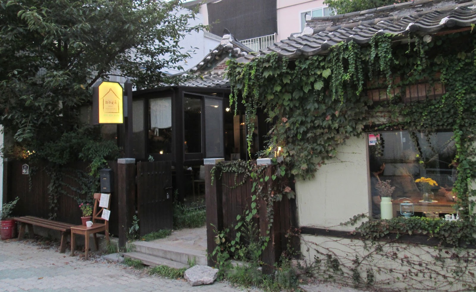 Cafes in Korea Daegu Hanok(Korean traditional house) Cafe 'MOGA'