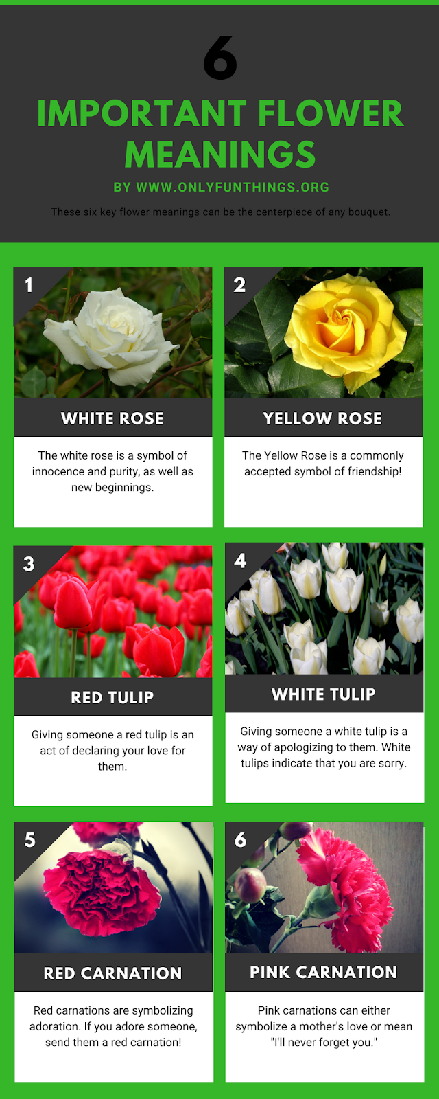 How to Communicate Using Flowers and Folding Fans Royals Lesson!