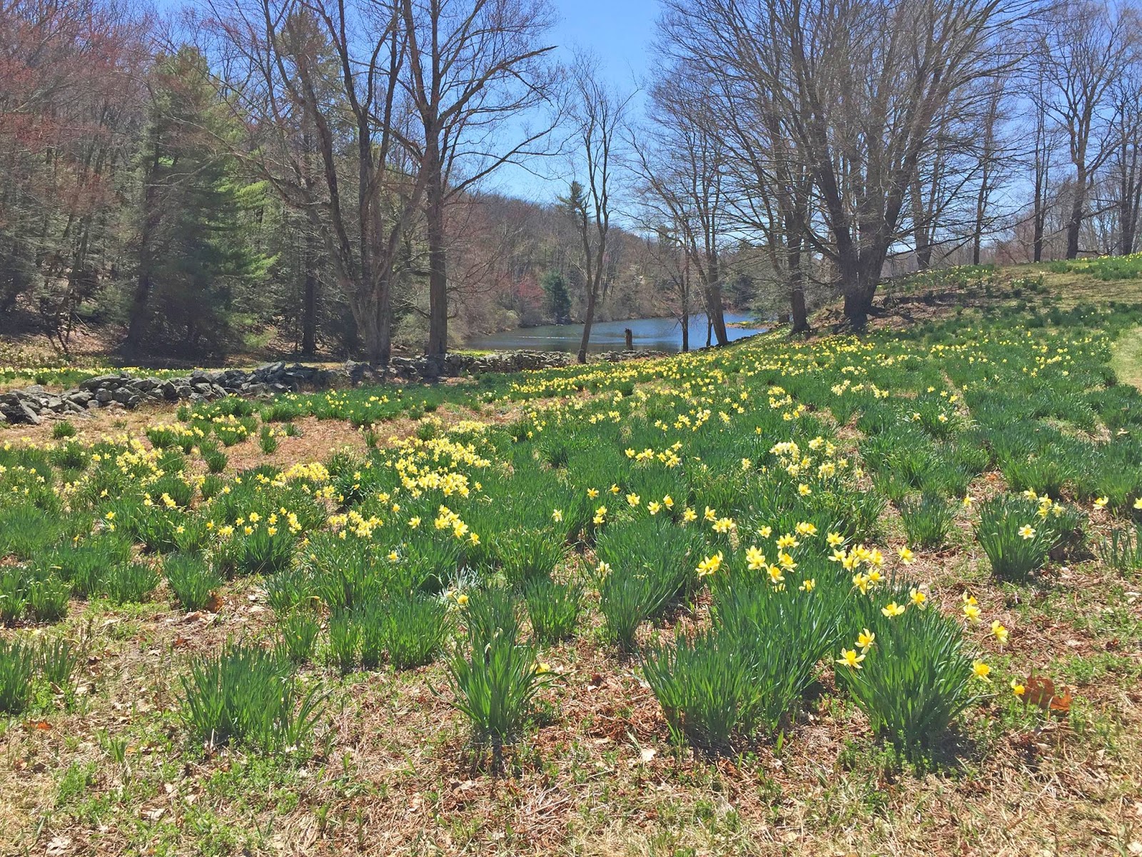 Litchfield Hills & Fairfield County Connecticut Travel Looking for