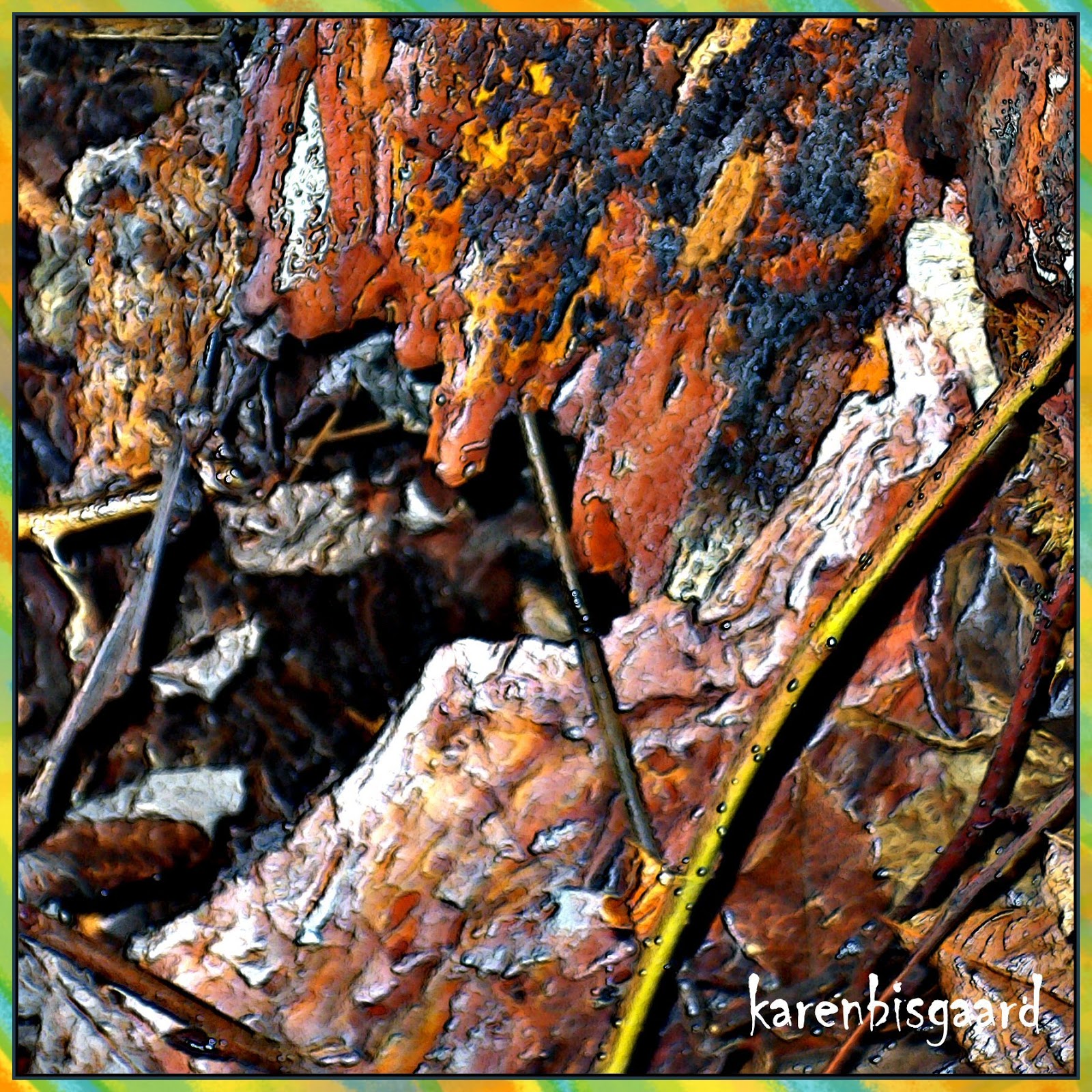 Karen`s Nature Photography Decaying Pieces of Wood.