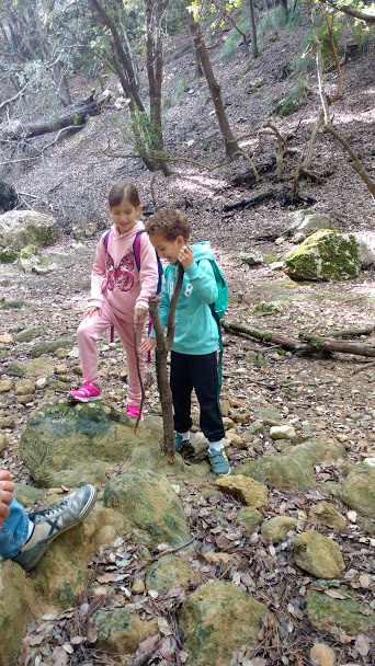 Excursión Salt des Fre (Mallorca)