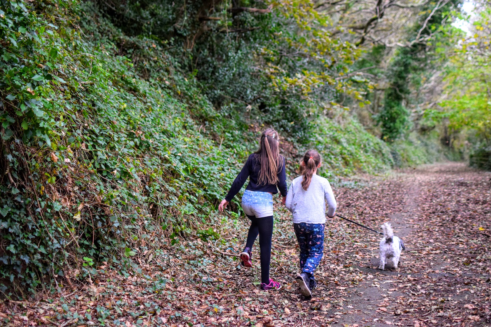 , Embrace #NoDullDays This Winter &#8211; a Leafy Walk at Lower Priory