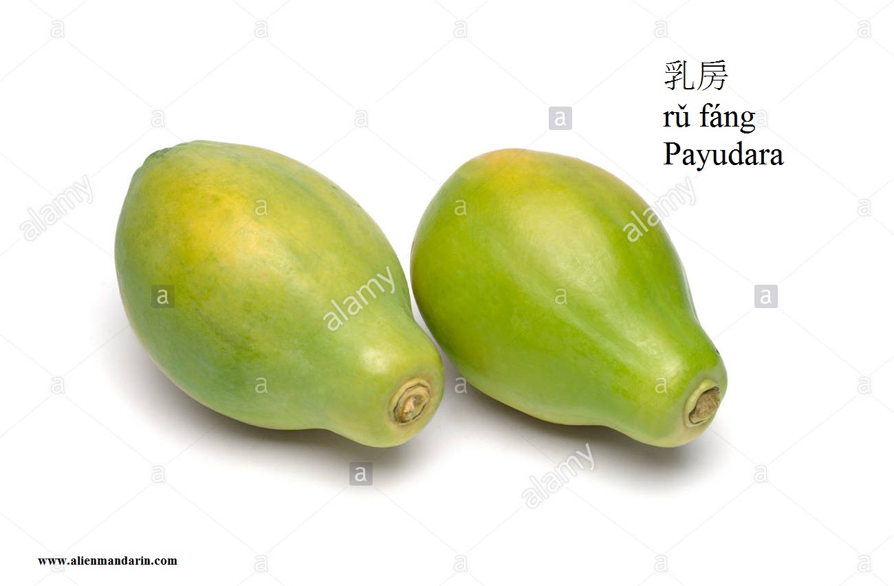 [17+] 5 Cara Menyebut Payudara dalam Bahasa Mandarin (How to Say Breast